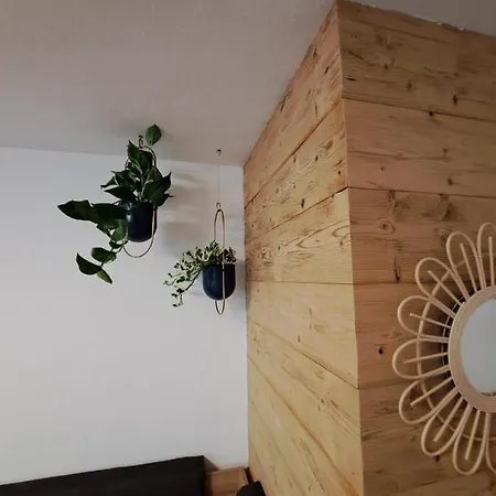 Selauerbauer Apartamento Lofer