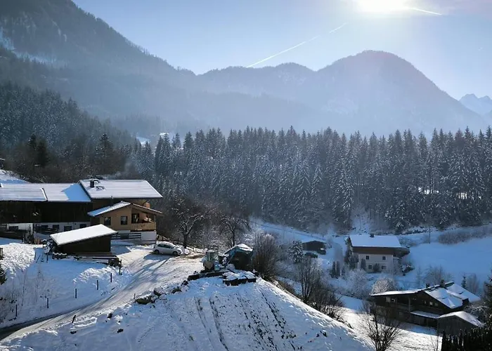 Selauerbauer Apartment Lofer